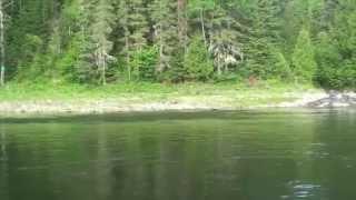 28lbs Atlantic Salmon on a Dry Fly 2012