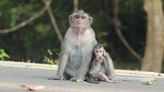 Mama Sreymao and baby waiting foods and fruits from guys