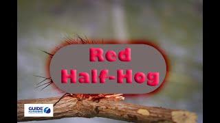 Fly Tying The Red Half Hog