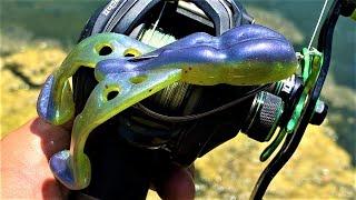 An Epic Top Water Frog | Inject to Catch