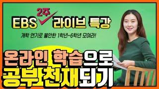 초등 온라인 학습으로 자기주도학습 완성하기