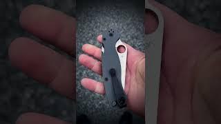 Spyderco paramilitary 2 #edc #knife #knives #sharp #cut #spyderco #blade #now #steel #pm2