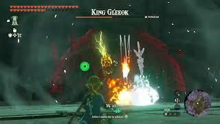 Derpy Damageless Gloom King Gleeok Fight (Legend of Zelda TOTK)