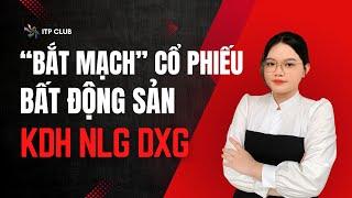 Bắt mạch cổ phiếu Bất động sản | Cổ phiếu tiềm năng NLG, KDH, DXG | Hướng dẫn đầu tư chứng khoán