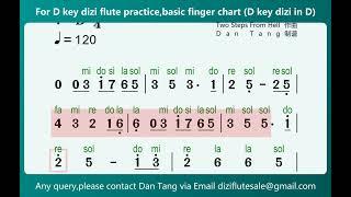 《Victory-Two Steps From Hell》Video Score For D key dizi flute