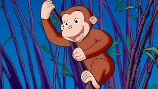 Georges le Petit Singe Une Soirée Au Zoo Saison 1 Épisodes Complet Dessin Animé Animation