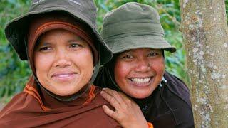 Women are the Backbone of Sumatran Coffee