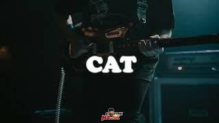 Afrobeat Instrumental 2023 | Burna boy x Tems x Omah Lay Type Beat "CAT" |Afrobeat Type Beat