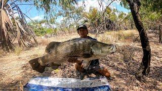 BARRAMUNDI FISHING AUSTRALIA FAR NORTH QLD COMPETITION