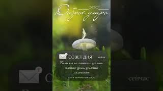 совет дня ️