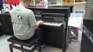 bobby piano Bloomfield shopping centre efteling Bangor