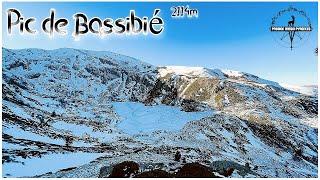 Pic de Bassibié 2114m