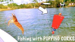 Saltwater Fishing ANYONE Can Do! [The Popping Cork]