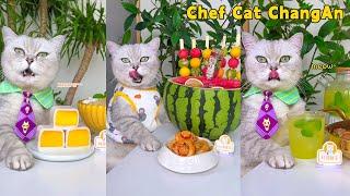 Cool Ice Cream And Drinks Await You This Summer!️ |Cat Cooking Food|Cute And Funny Cat