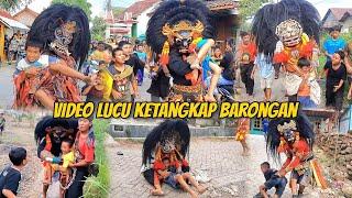 KUMPULAN VIDEO LUCU BARONGAN NGAMUK TANGKAP ORANG !!