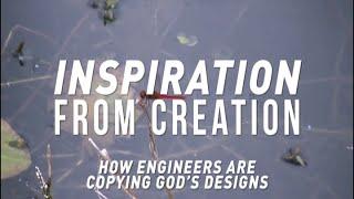 Inspiration from Creation, Featuring Prof. Stuart Burgess