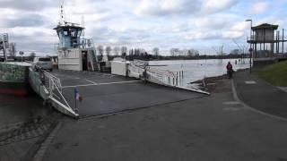 Hochwasser am Rhein in Niederkassel-Mondorf