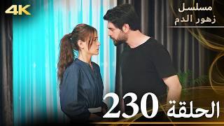 الحلقة 230 | مسلسل زهور الدم | مدبلج بالعربية | Kan Çiçekleri | جودة 4K