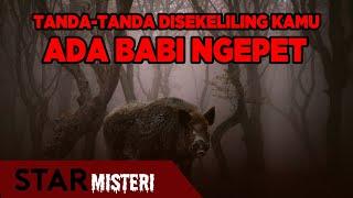 HEBOH!! BABI NGEPET MENYERUPAI MANUSIA, APA TANDA-TANDA BABI NGEPET? – STAR MISTERI 05/11