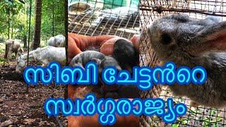 Mixed Farm & Nursery | Kallingal Plantation Farm & Nursery | Jobin Magic World