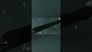 Что Скрывает Марианская Впадина?