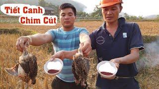 Tiết canh chim cút | Nhịp Sống Tây Bắc