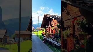 Golden days for sightseeing | #short #youtubeshort #swiss #natureview #travel