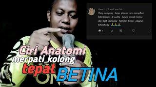 Ciri katuranggan anatomi merpati kolong rapi tepat betina