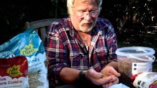 Are Mealworms good for birds? #AskBillOddie