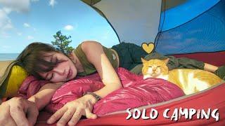 Solo camping with island cats at the top of the island was perfect