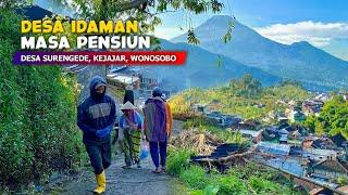 DREAM VILLAGE FOR RETIREMENT!! Natural Scenery of Dieng Pletau - Stories of Surengede Village