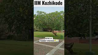 CAT 2022 motivation |IIM Kozhikode |MBA |Hostel life #youtubeshorts #shorts #iim #mba #iimkozhikode