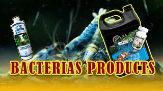 Best BACTERIAS for SUCCESSFUL shrimp keeping. Both for Neocaridina and Caridina shrimps.