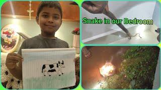 Cow by melchior ,guess what is by Marical? / Snake in our dining room #konkanivlog #goanvlogger