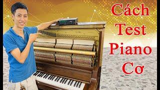 ️Hướng dẫn các bước kiểm tra cây đàn piano cơ || Hoàng Phát Piano - 0981 668 368