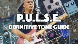 David Gilmour's PULSE Tones Definitive Guide (Song by Song!)