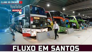 MOVIMENTAÇÃO NA RODOVIÁRIA DE SANTOS | VÍDEO DINÂMICO | Faixa Noturna