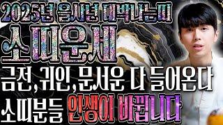 2025년 미리보는 을사년 소띠운세축하드립니다! 2025년 금전,귀인,문서운 한번에 다 들어온다! 소띠분들 인생이 바뀝니다! 61년생 73년생 85년생 97년생 소띠 운세