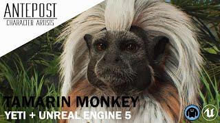 Realistic Creature in UNREAL ENGINE 5 + YETI || Tamarin Monkey ||