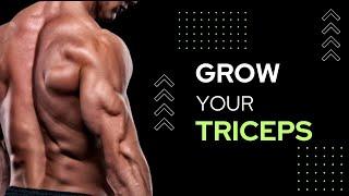 6 Best Triceps Exercise For Bigger Arms -- Wild Fire Fitness