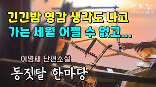 긴긴밤  영감 생각도 나고 가는 세월은 어쩔 수 없고… [동짓달  한마당 –이명재 단편소설] #하소담오디오북 #하루하루소리를담다