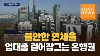 [매일경제TV 뉴스] 불안한 연체율…기업대출마저 걸어잠그는 은행권