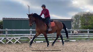 Boris (Juno Watt) young horse training and show prep continues. Canter work and balance