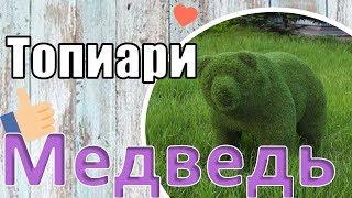 Топиари Медведь!