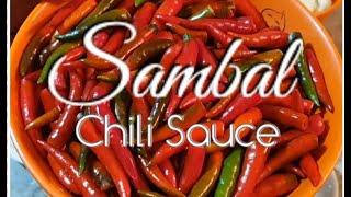 SAMBAL | INDONESIAN CHILI SAUCE | YNATREVS