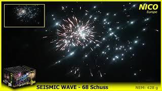 NICO Europe   Seismic Wave