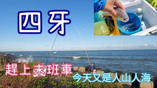 ［胖咪］fishing 127 : 沙灘遠投 surf fishing 之 四牙魚 surf cast！