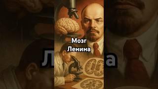 Как Сталин искал гениальность в нейронах Ленина #Ленин #ссср #история