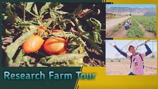 RESEARCH FARM TOUR ISRAEL  | JC GARCIA