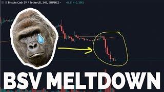 The BSV Meltdown (Fractal behavior)
